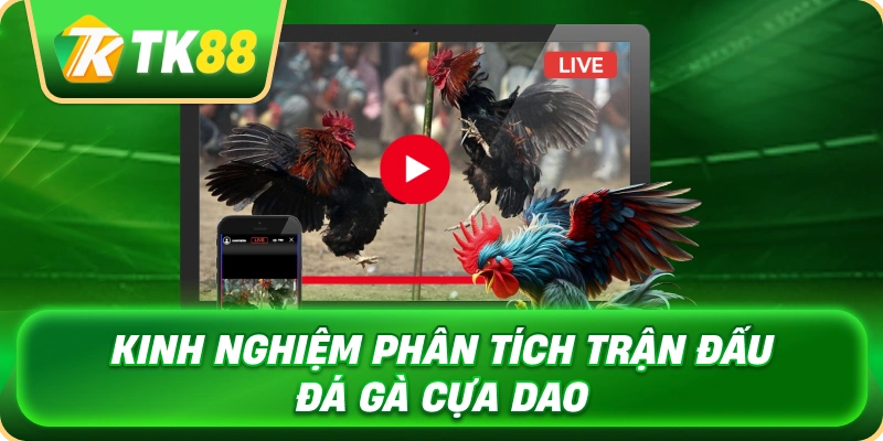 Đá Gà Cựa Dao - Khám Phá Luật Chơi Và Kinh Nghiệm Theo Dõi 4 kinh_nghiem_phan_tich_tran_dau_da_ga_cua_dao_1x