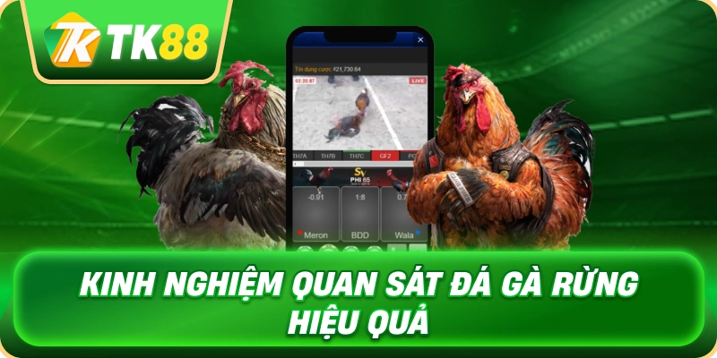 Đá Gà Rừng - Khám Phá Đặc Điểm Và Kỹ Thuật Thi Đấu 4 kinh_nghiem_quan_sat_da_ga_rung_hieu_qua_1x