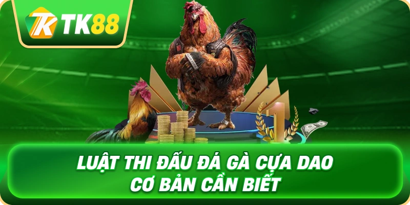 Đá Gà Cựa Dao - Khám Phá Luật Chơi Và Kinh Nghiệm Theo Dõi 3 luat_thi_dau_da_ga_cua_dao_co_ban_can_biet_1x