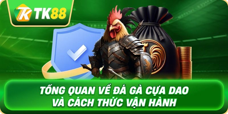 Đá Gà Cựa Dao - Khám Phá Luật Chơi Và Kinh Nghiệm Theo Dõi 2 tong_quan_ve_da_ga_cua_dao_va_cach_thuc_van_hanh_1x