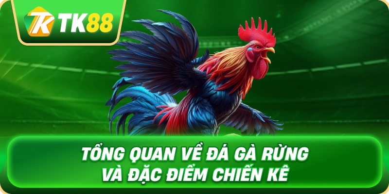Đá Gà Rừng - Khám Phá Đặc Điểm Và Kỹ Thuật Thi Đấu 2 tong_quan_ve_da_ga_rung_va_dac_diem_chien_ke_1x