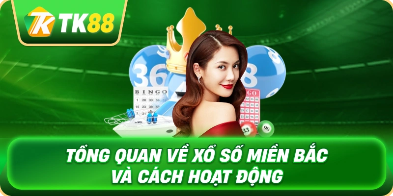 Xổ Số Miền Bắc - Tìm Hiểu Luật Chơi Và Kinh Nghiệm Chọn Số 2 tong_quan_ve_xo_so_mien_bac_va_cach_hoat_dong_1x